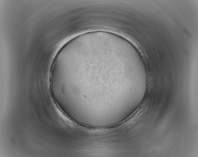 X0000112981535200909171328