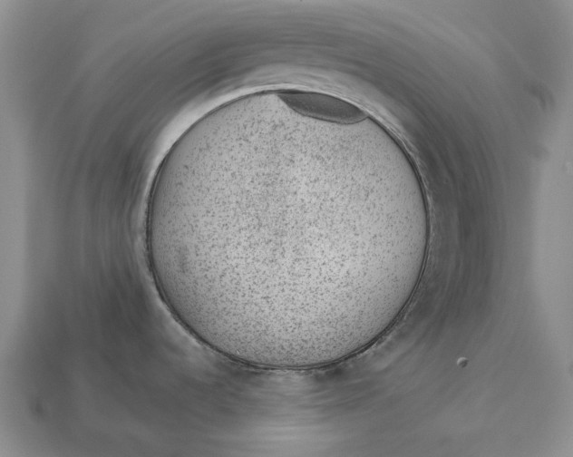 X0000112981536200909171328