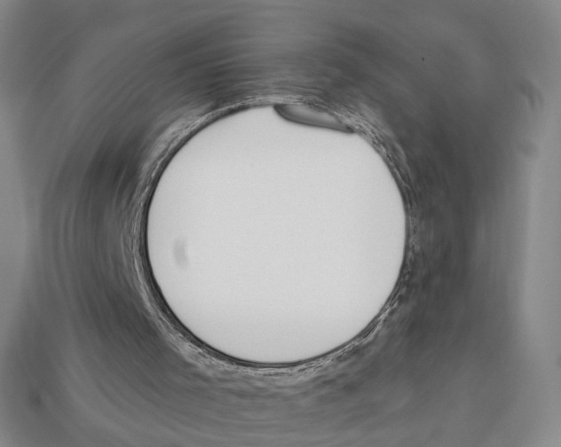 X0000112980001200909241230