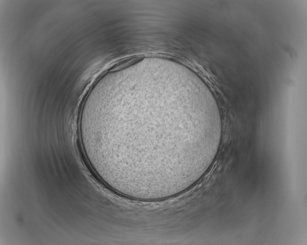 X0000112980002200909241230