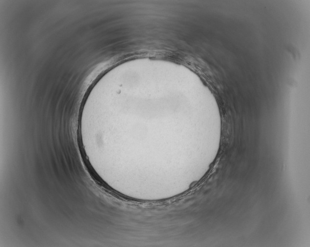 X0000112980003200909241230