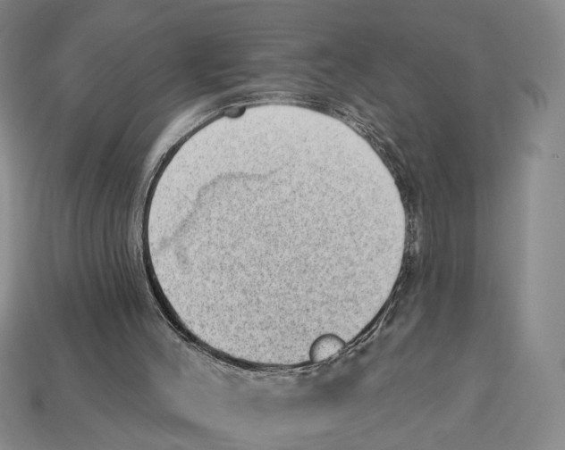 X0000112980004200909241230