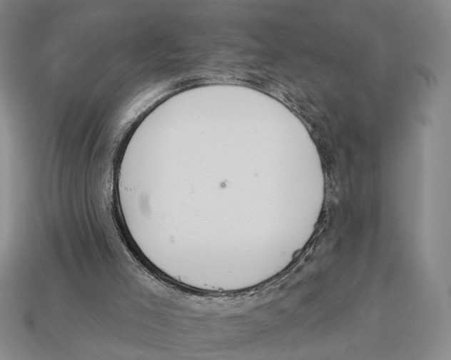 X0000112980005200909241230