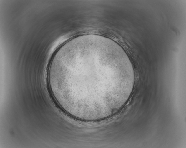 X0000112980006200909241230