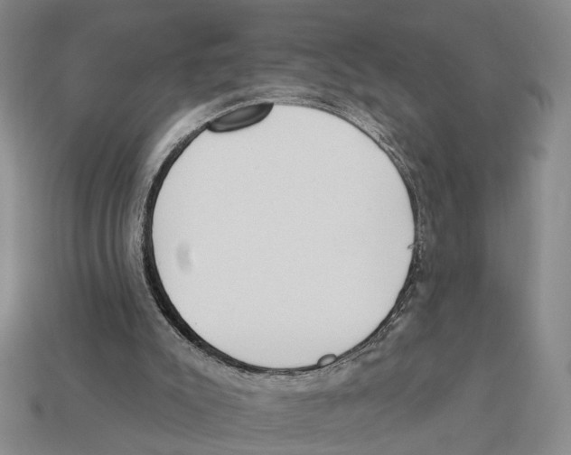 X0000112980007200909241230