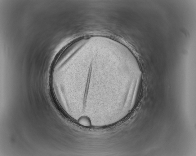 X0000112980008200909241230
