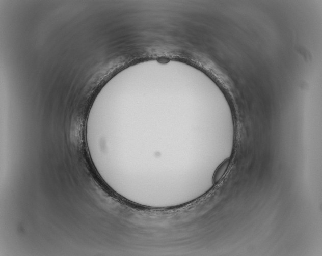 X0000112980009200909241230
