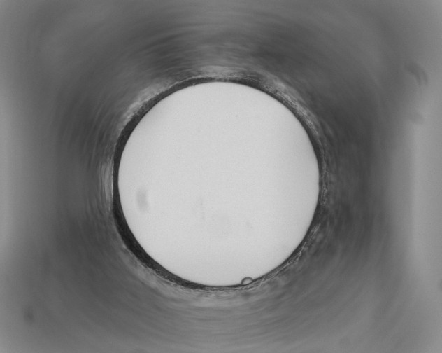 X0000112980011200909241230