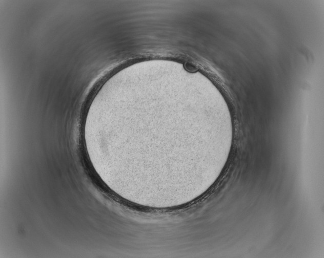 X0000112980012200909241230