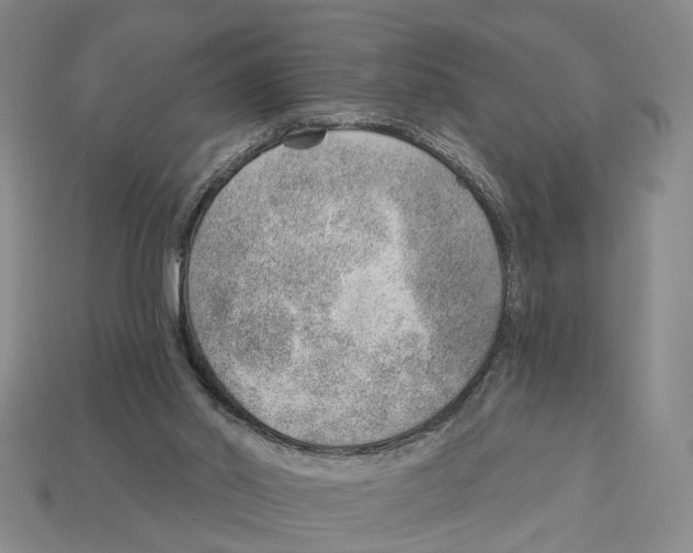 X0000112980014200909241229