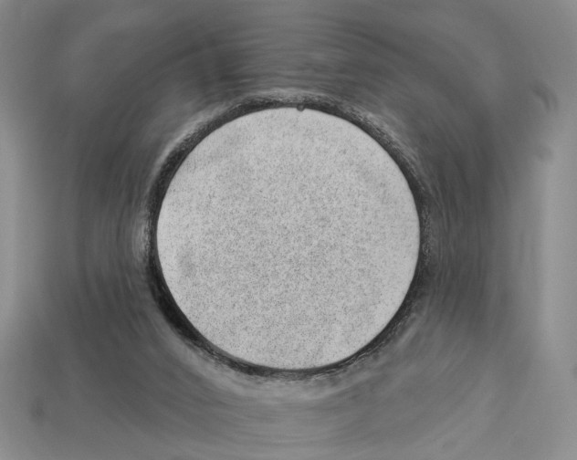 X0000112980016200909241229