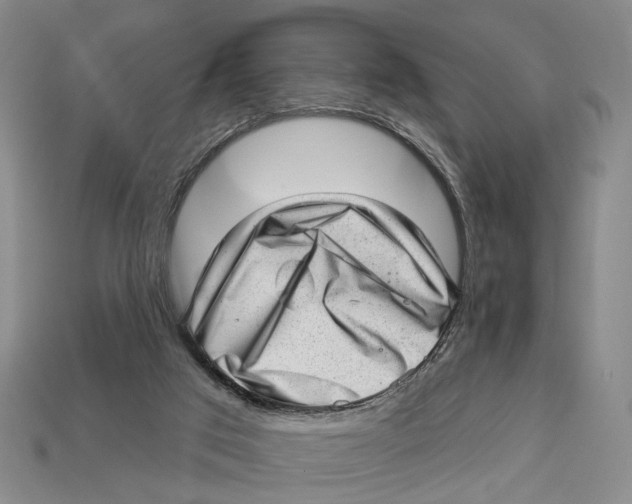 X0000112980017200909241229