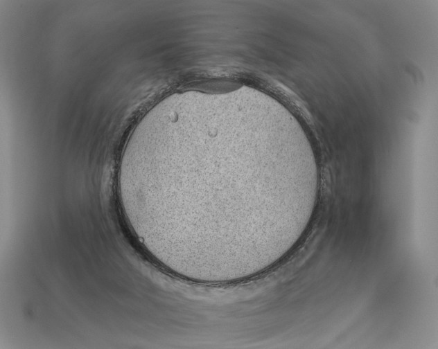 X0000112980018200909241229