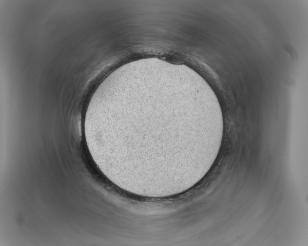 X0000112980020200909241229