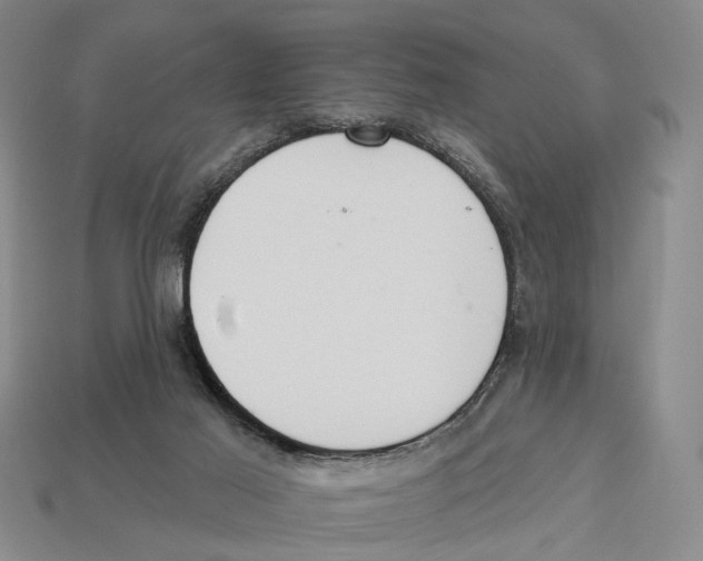 X0000112980021200909241229