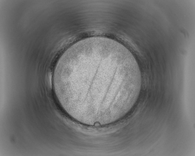 X0000112980022200909241229