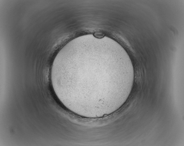 X0000112980023200909241229