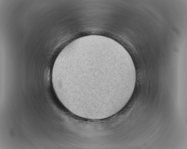 X0000112980024200909241229