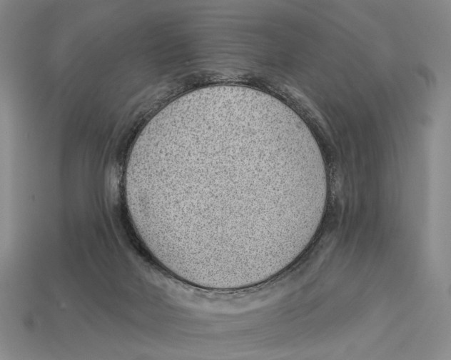 X0000112980026200909241229