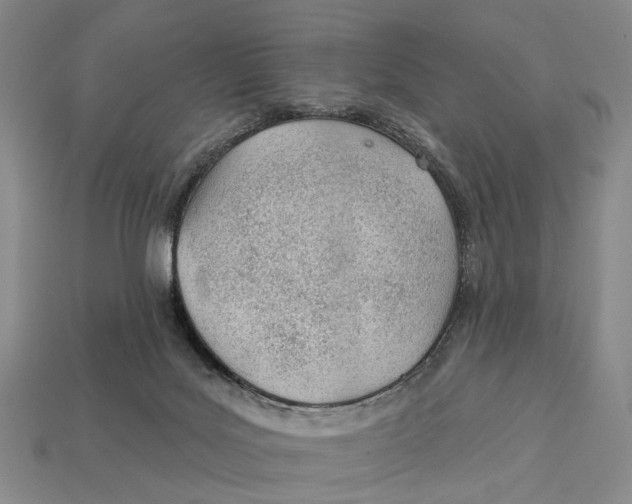 X0000112980027200909241229