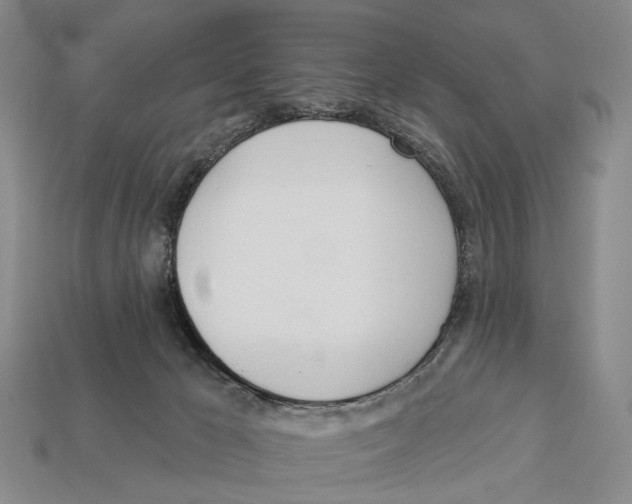X0000112980029200909241229
