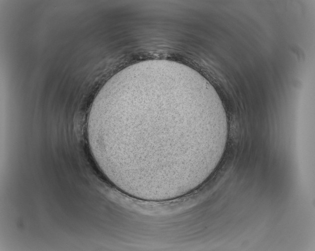 X0000112980030200909241229