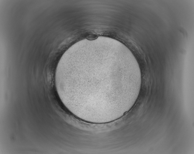 X0000112980031200909241229