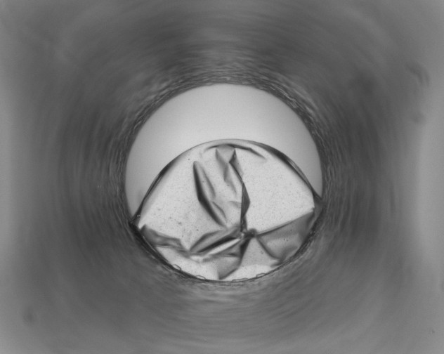 X0000112980033200909241229
