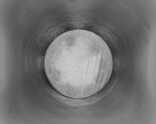 X0000112980034200909241229