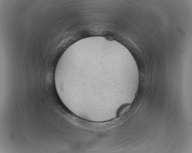 X0000112980035200909241229