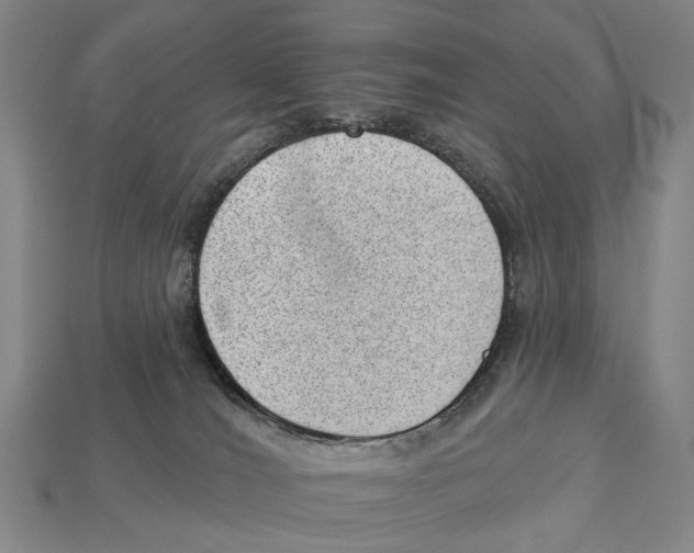 X0000112980036200909241229