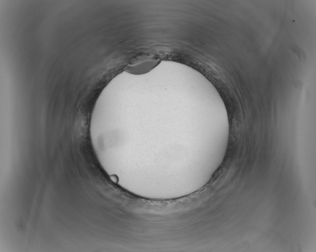 X0000112980037200909241229