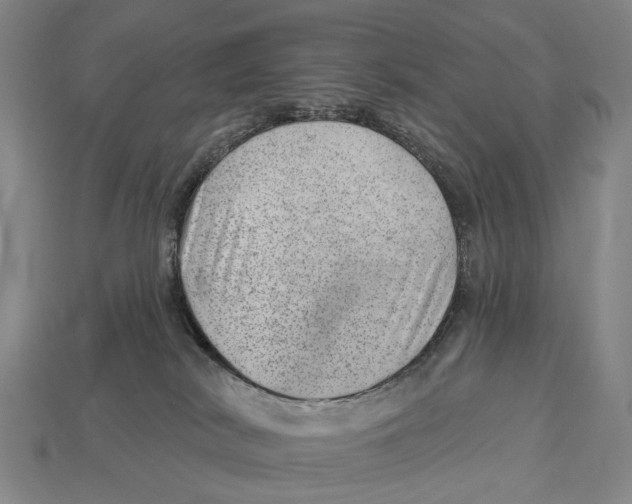 X0000112980038200909241229