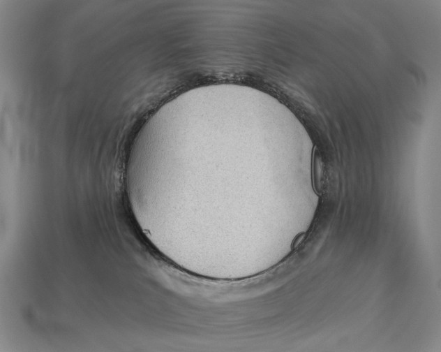 X0000112980039200909241229