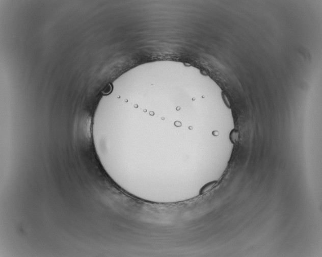 X0000112980041200909241229