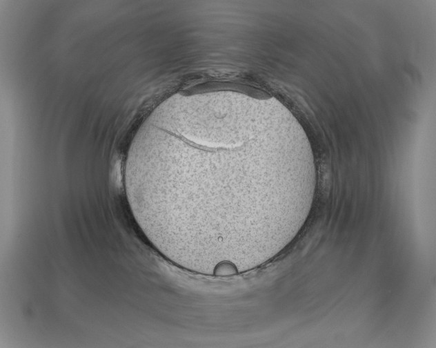 X0000112980042200909241229