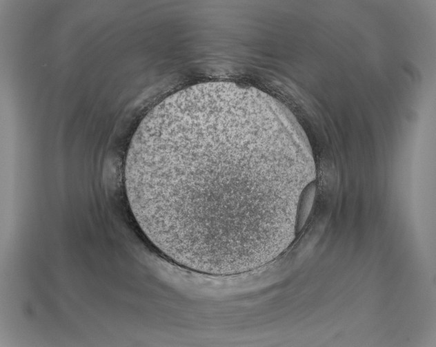 X0000112980043200909241229