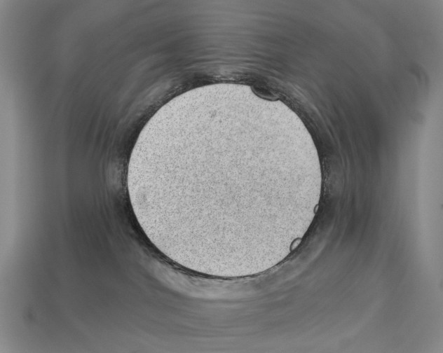 X0000112980044200909241229