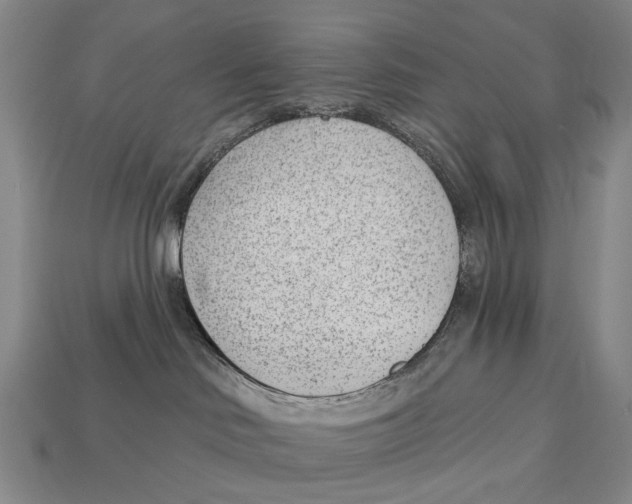X0000112980046200909241229