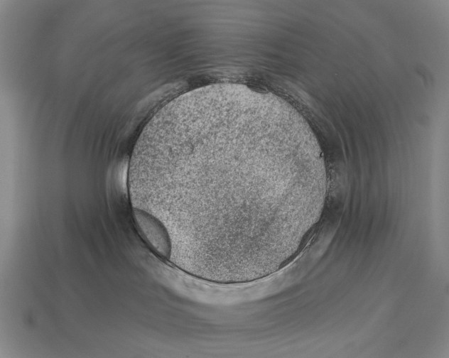 X0000112980047200909241229