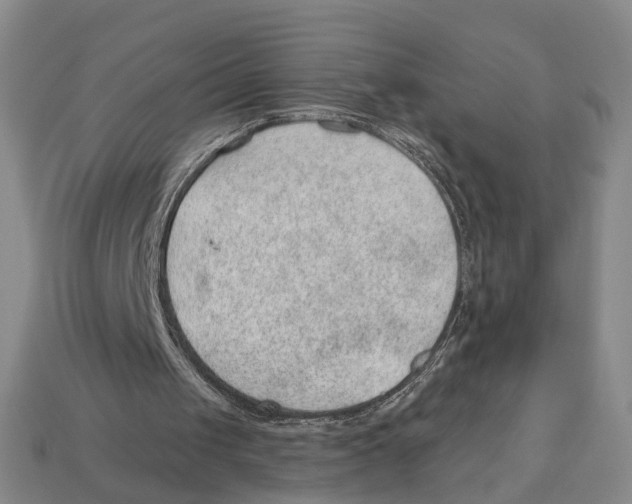 X0000112980049200909241228