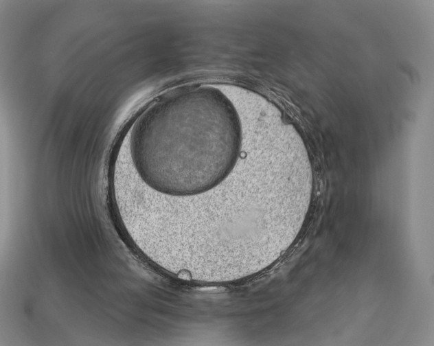 X0000112980053200909241228
