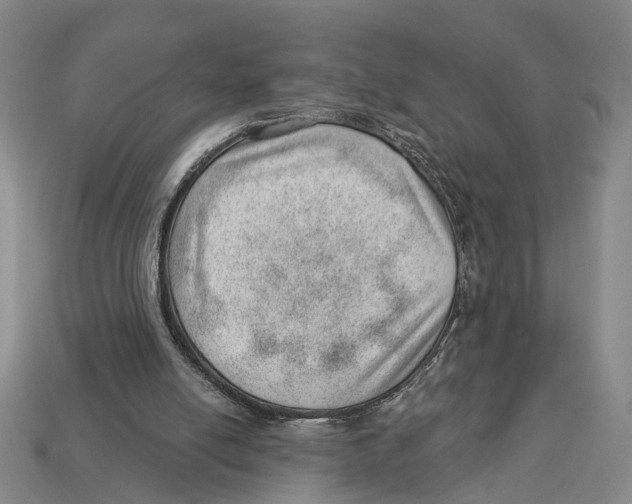 X0000112980054200909241229