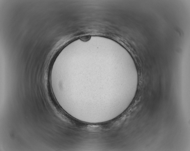 X0000112980055200909241229