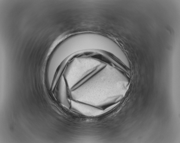 X0000112980056200909241229