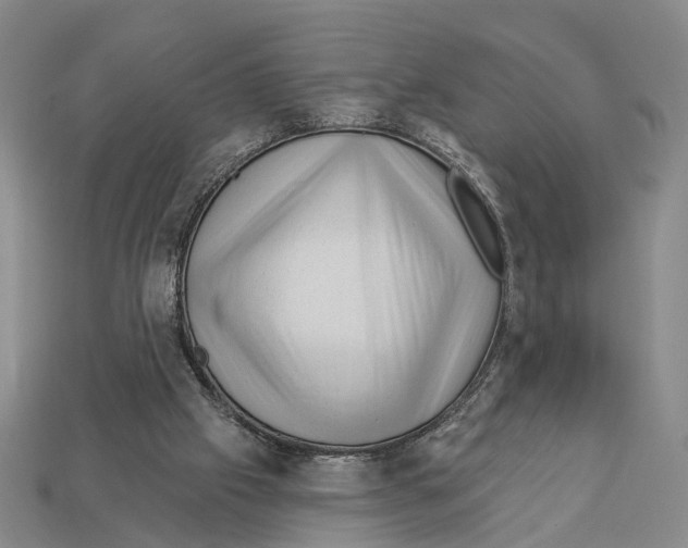 X0000112980057200909241229