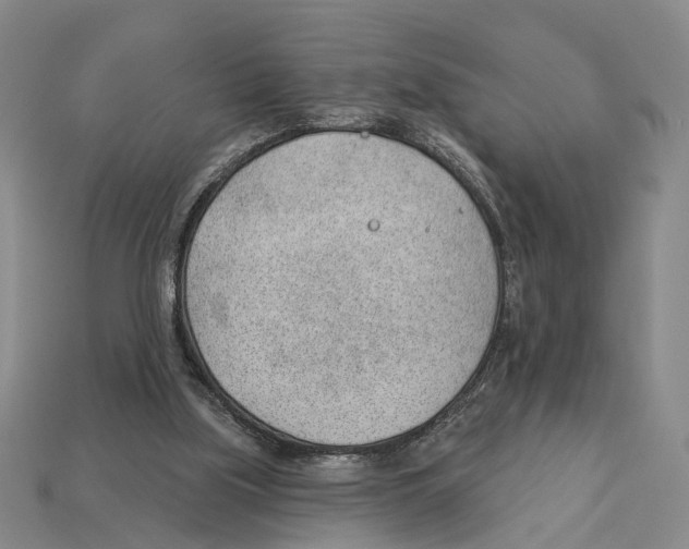 X0000112980059200909241229