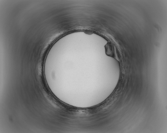 X0000112980060200909241229
