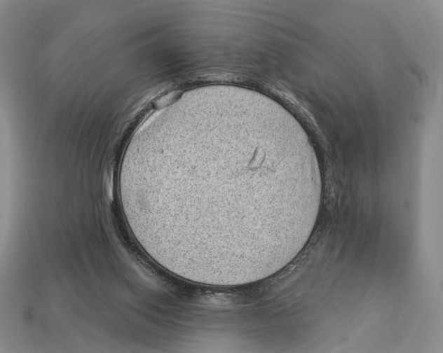 X0000112980062200909241229