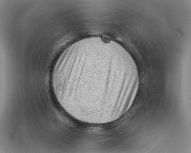 X0000112980066200909241229